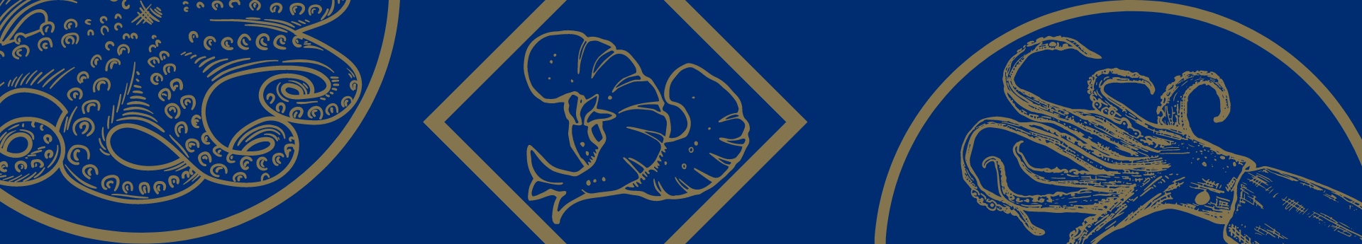 Не купуйте інгредієнти для суші!!!